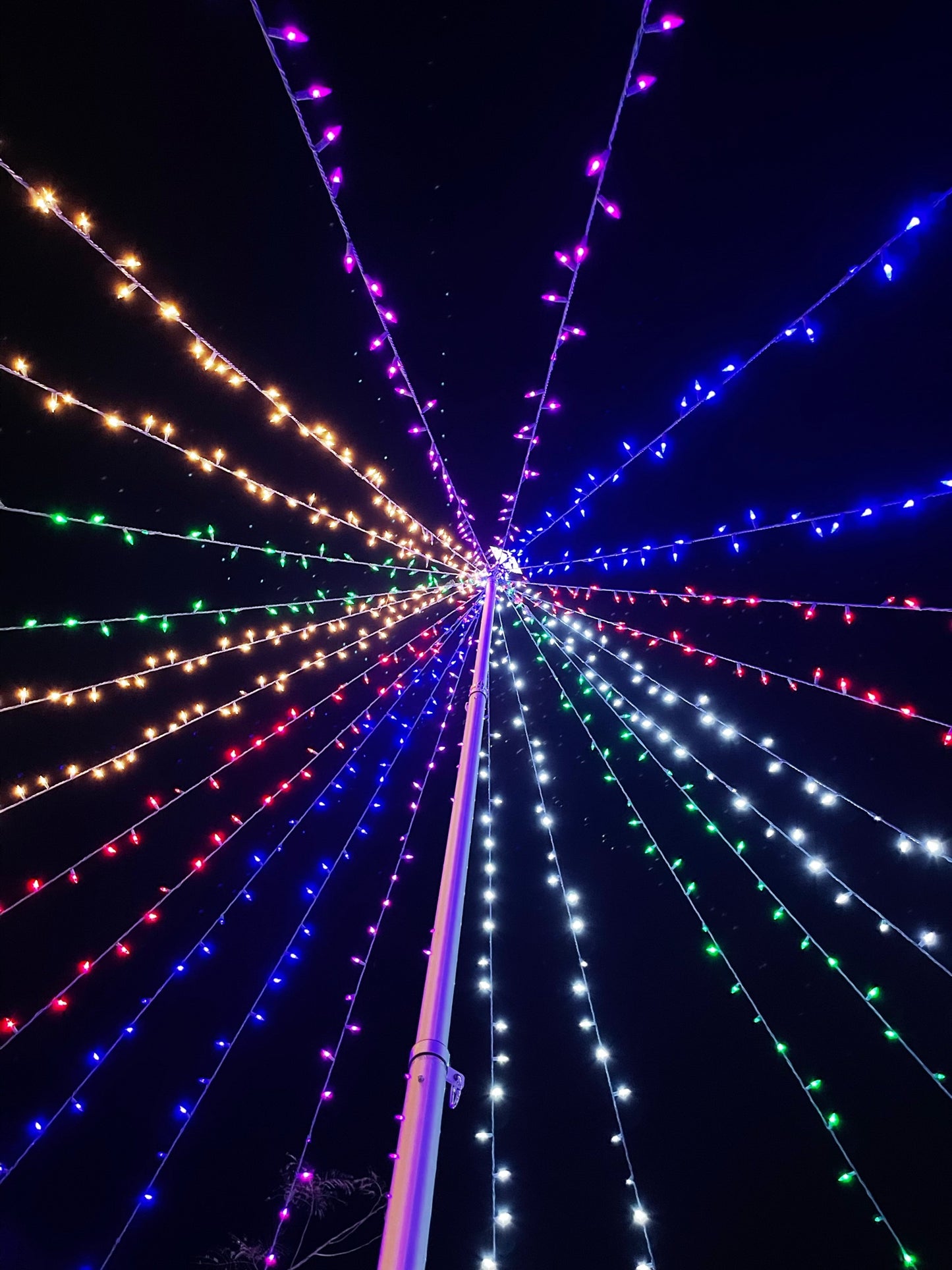 20ft Flagpole String Tree Bundle