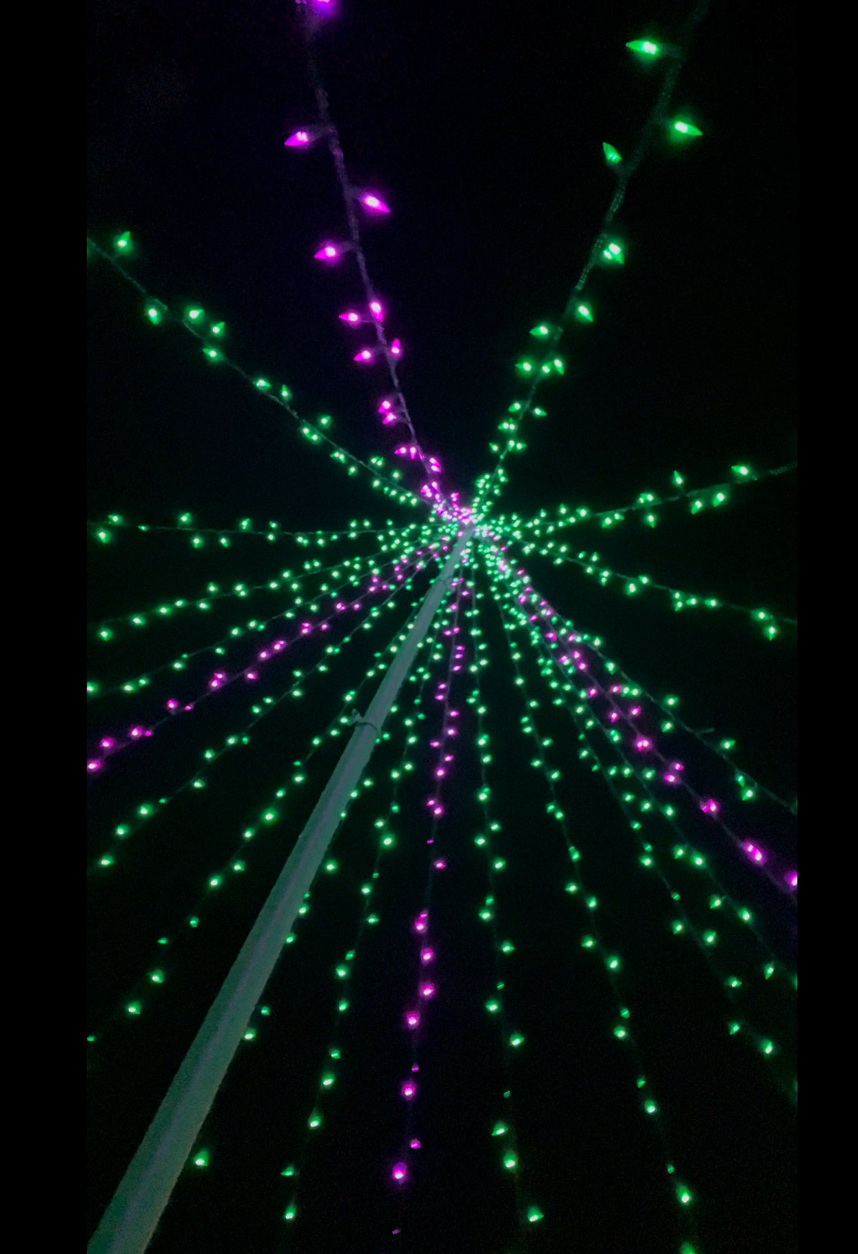 4 String lights & Topper kit (most popular)